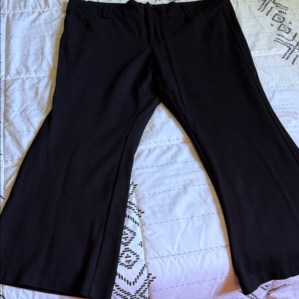 Torrid Black Women's Pants